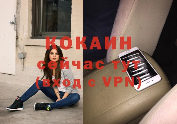 сатива Алексин