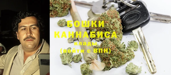 сатива Алексин