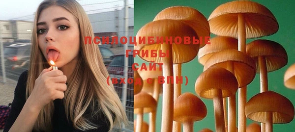 сатива Алексин