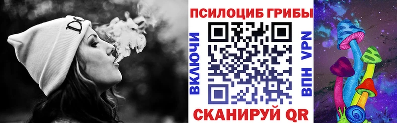 Галлюциногенные грибы Cubensis  где продают   Заозёрный 